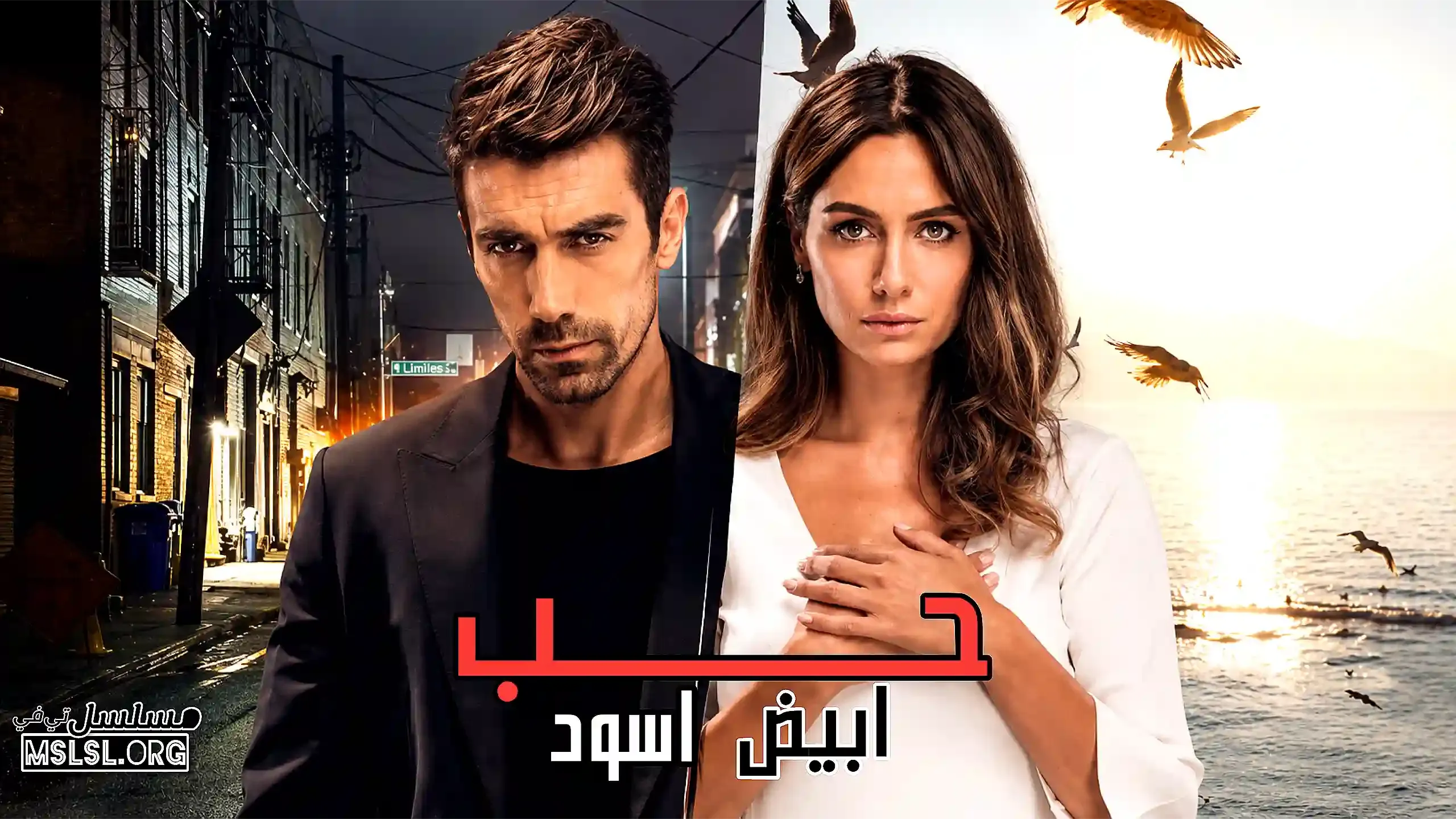 بوستر  مسلسل حب ابيض اسود مدبلج